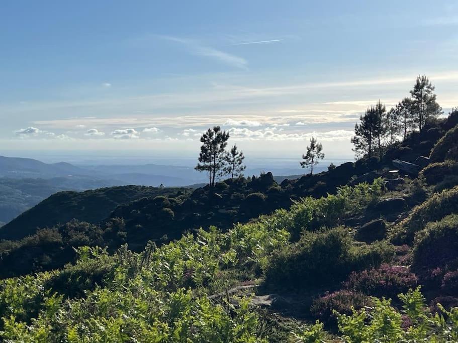 Casinha Do Sol - Natureza & Lazer - Serra Da Freita Arouca Esterno foto